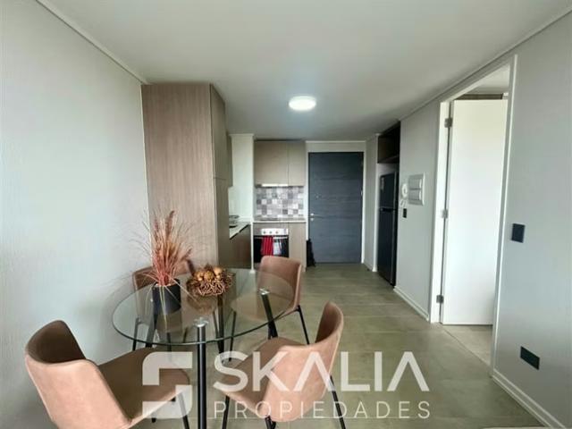 Departamentos en arriendo en san pedro de la paz | departamento en arriendo amoblado en san pedro de la paz 1 dormitorios por clp 450000.00