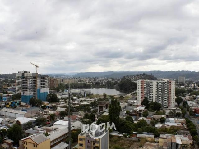 Departamentos en concepción departamento en general cruz