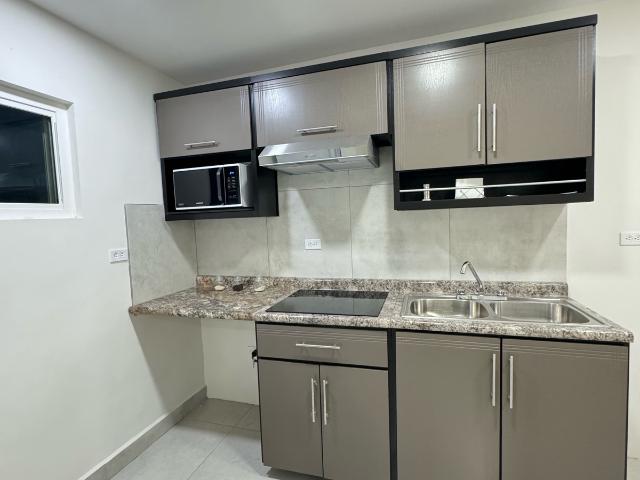 DEPARTAMENTOS EN RENTA EN LOMAS DEL SANTUARIO 2 Y 3 REC
