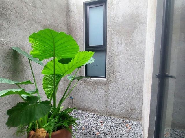 Departamentos en venta en Fracc. Tulipanes Zona Poniente