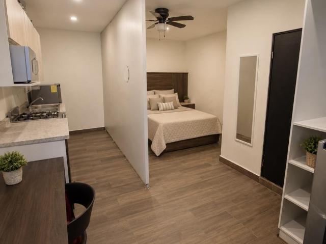 Departamentos tipo Loft en Renta en Zona Sur