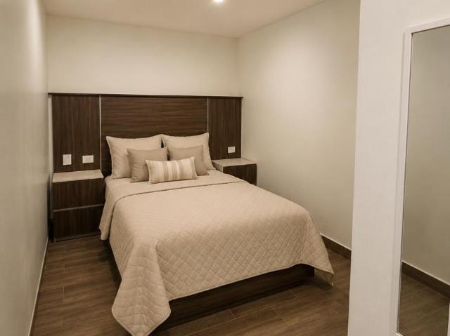Departamentos tipo Loft en Renta en Zona Sur