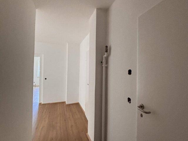 Derzeit in Sanierung! Ein Ort zum Ankommen: Großzügige 2 Zimmerwohnung mit viel Tageslicht am Minnesängerplatz Froschberg! Verfügbar ab 01.08.2026!