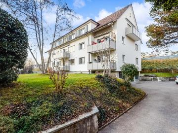 Der Zürichsee ruft!