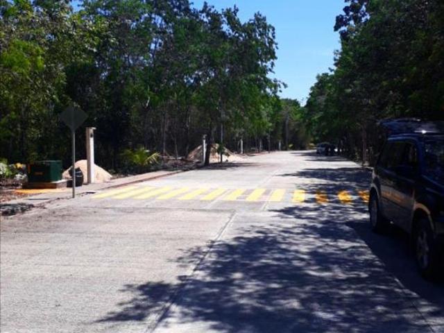 DESARROLLO PASEO DEL PARQUE