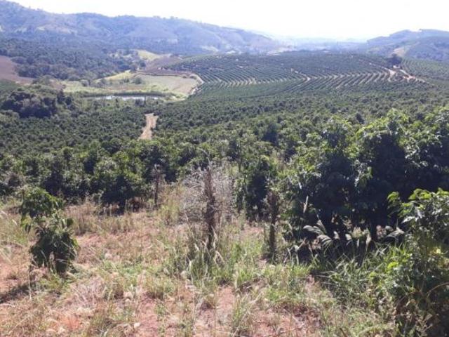Descrição da área da fazenda Boa esperança _ Área total = 104 alqueires _ Área café = 28 alqueires