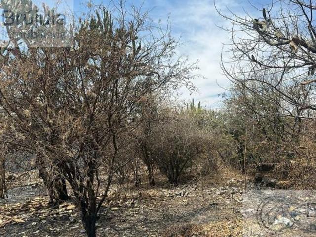 Descubra el espacio perfecto para su proyecto arquitectónico en Villas de Irapuato