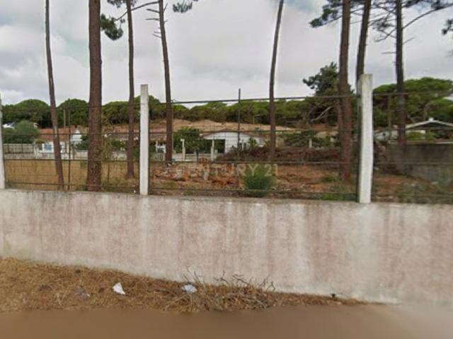 Descubra este excelente terreno com 510 m2 quadrados, no Pinhal do Rei a poucos metros da Fonte da Telha