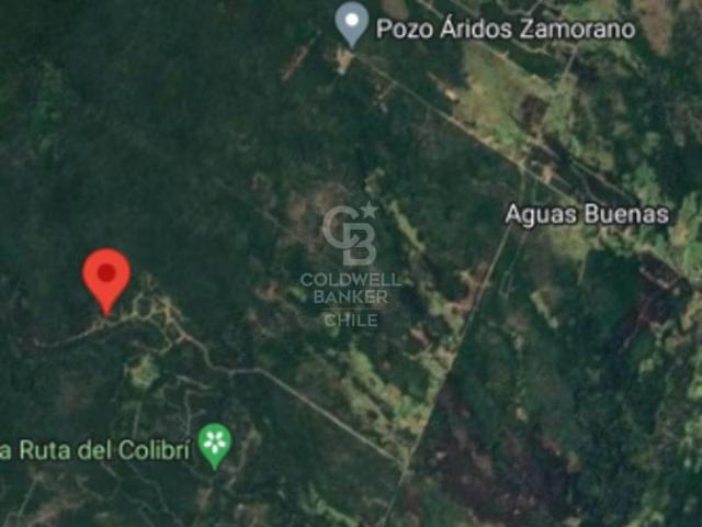 ¡Descubre tu oasis en Chiloé! Aguas Buenas, Ancud. 0 dormitorios por 16990. 00 en Ancud
