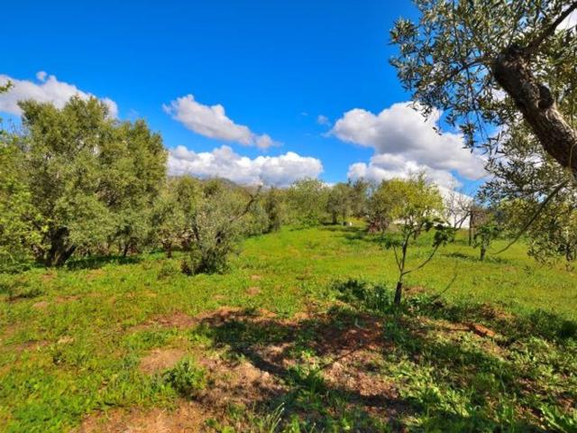 ¡Descubre tu refugio en la naturaleza! Esta encantadora finc. 0m² Cartajima