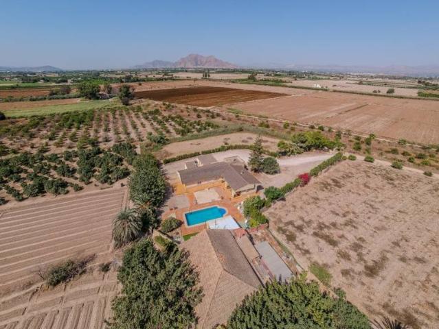 Descubre una propiedad con carácter y múltiples posibilidade. 294m² Almoradí