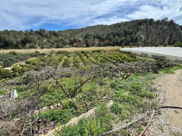 Descubre esta exclusiva finca en Callosa d'en Sarrià, a un p. 300m² Callosa d'En Sarrià
