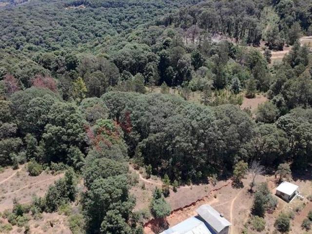 ¡Descubre la oportunidad perfecta para invertir en un terreno en el corazón de la naturaleza! Este i