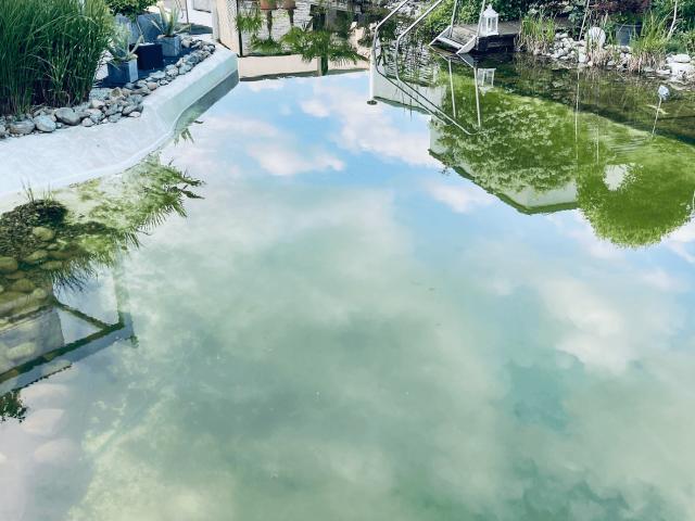 Designwohnung im Seepark zu vermieten auf Anfrage kaufen