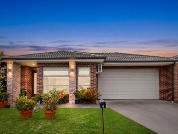 Designed for Families, Built for Lifestyle