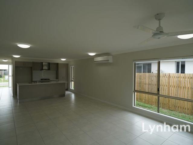 Designed for Light & Living