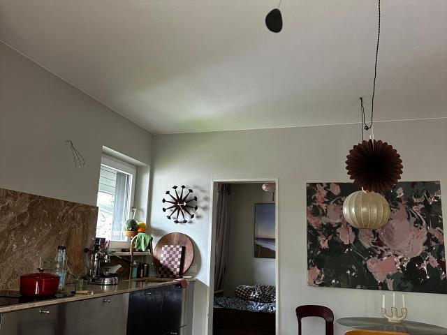 Designer apartment with large terrace near Isar, forest, and S Bahn