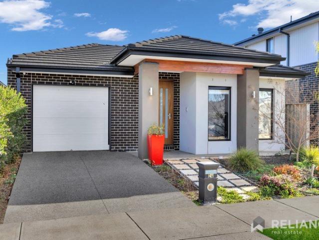 Designer Family Living with Space, Style & Everyday Comfort
