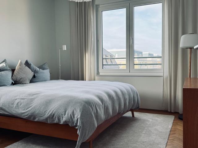 Designer First Occupancy with Roof Terrace & Fireplace – 3 Rooms, Dresden Löbtau