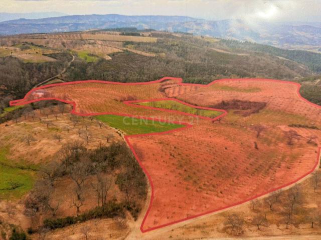 Deslumbrante Propriedade em Espadanedo, Macedo de Cavaleiros
