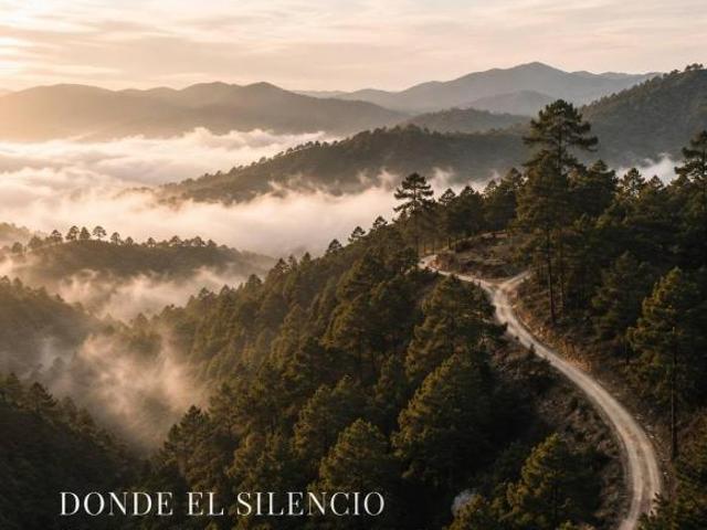 Despierta con el sonido del bosque