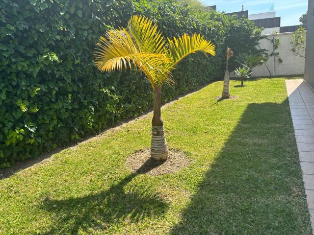 Detached Villa in Benalmadena Costa