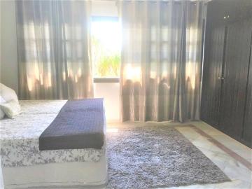 Palmeral de las Sorpresas, Casco Antiguo de Málaga, Málaga, Málaga, Andalucía, Andalucía