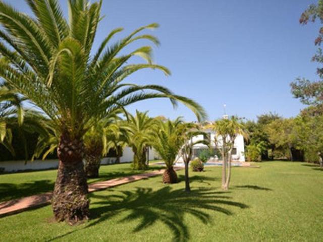 Detached Villa in Guadalmina Baja