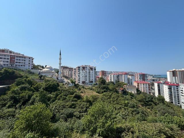 Detay'dan Geniş Ve Ferah, Kullanılmamış 4+1 Daire