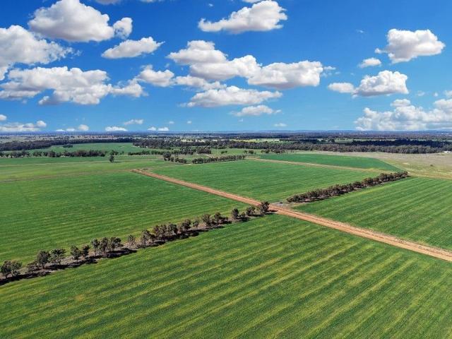 DEVELOPED IRRIGATION POWERHOUSE Suits Summer + Winter crops!