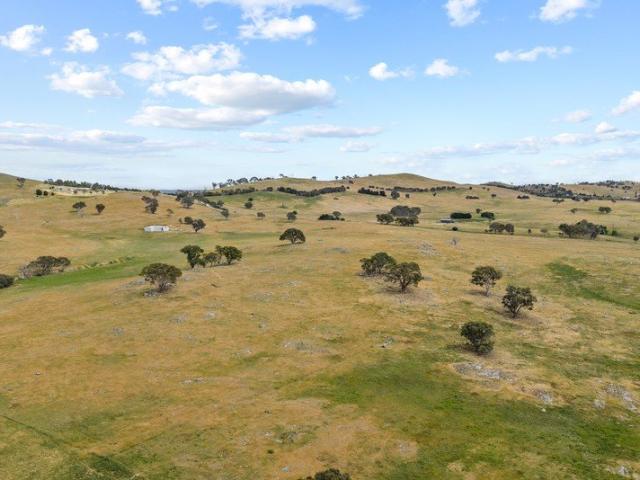 Development opportunity or build your dream home!