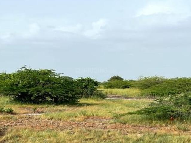 Dholera Residential Plot For Sale Ahmedabad