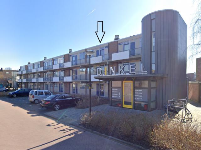 Dinkel 32