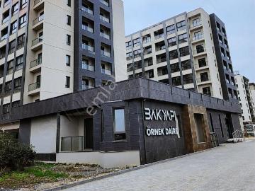 Osmangazi M , Keçiören, Ankara ili, İç Anadolu Bölgesi