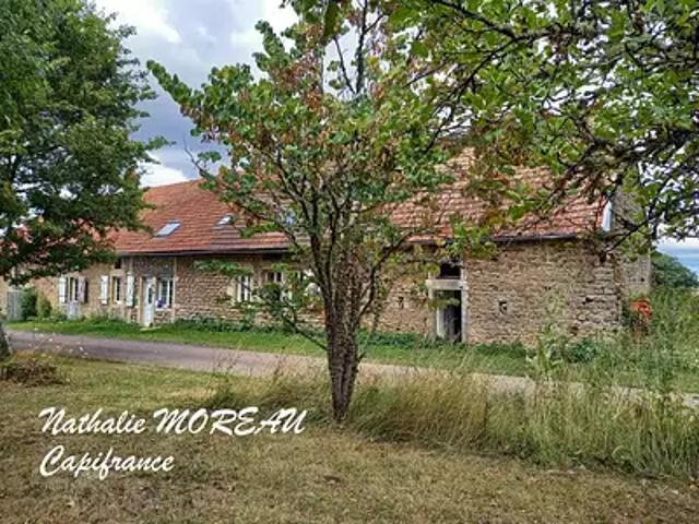 Diancey 21430 Achat / Vente maison 7 pièces t7 jardin cave