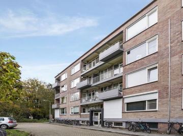Olland, Meierijstad, Noord-Brabant