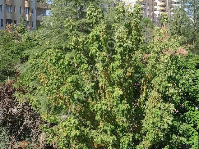 Diclekent Metropol 3 Sitesinde Satılık Daire