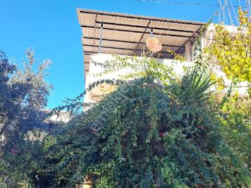 Akbük, Didim, Didim, Aydın ili, Ege Bölgesi