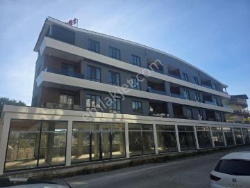 Çamlık Mah , Didim, Didim, Aydın ili, Ege Bölgesi