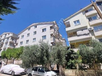 Hisar Mah , Didim, Didim, Aydın ili, Ege Bölgesi