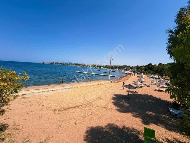Didimde Plaja Bir Kaç Adım Havuzlu Sıfır Eşyalı 3+1 Villa