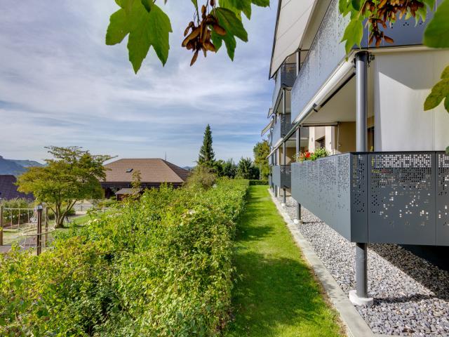 Die Berner Alpen vor dem Fenster und das Aaretal zu Füssen…