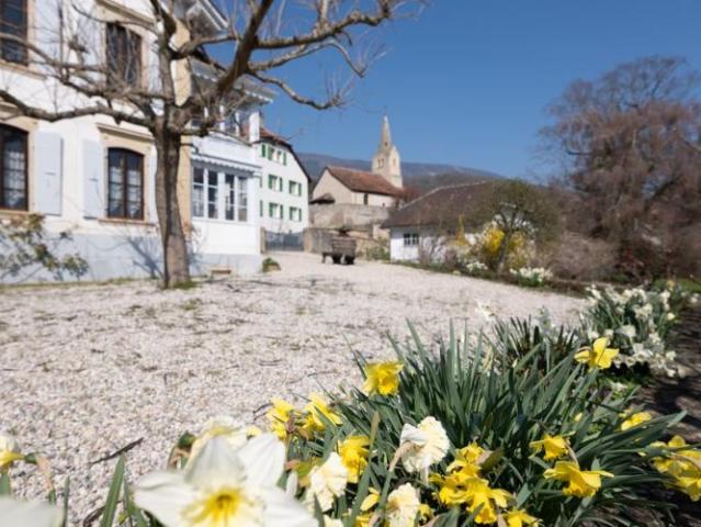 Die Kastanienresidenz – Eine aussergewöhnliche Liegenschaft im Herzen der Waadtländer Weinberge