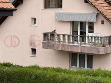 Die Hälfte eines Gebäudes zum Verkauf in Lucens