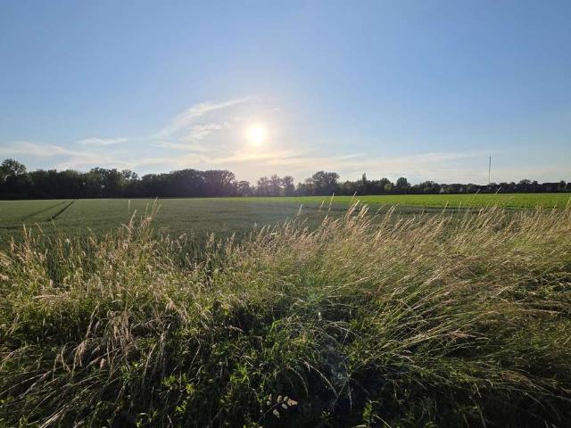 Die Sonne aufgehen sehen! Viel Freiraum für Sie und Ihre Familie mitten in der Hemminger Masch!