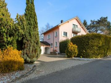 Villa kaufen in Wallisellen