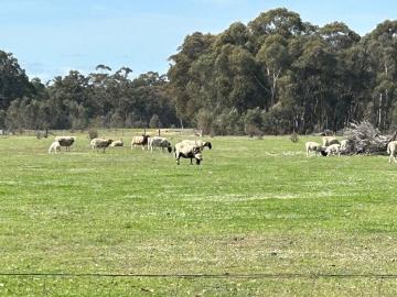 DIGGINGS AT FRONT DOOR AND SEASONAL CREEKS