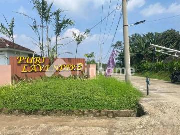 Dijual Rumah Lingkungan Asri di Perumahan Puri Lavender 3 Rp 3,08 Juta/m² | Pinhome