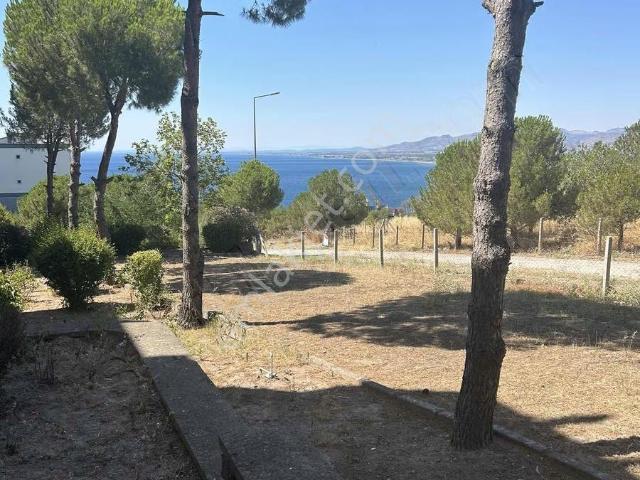 Dikili Barışkent Te Ful Deniz Manzaralı 3+1