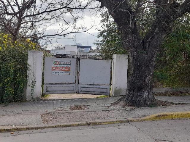 Dillet Propiedades